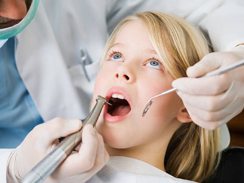 Study dentistry